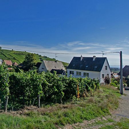 Gite Les Deux Belettes Riquewihr Exteriér fotografie