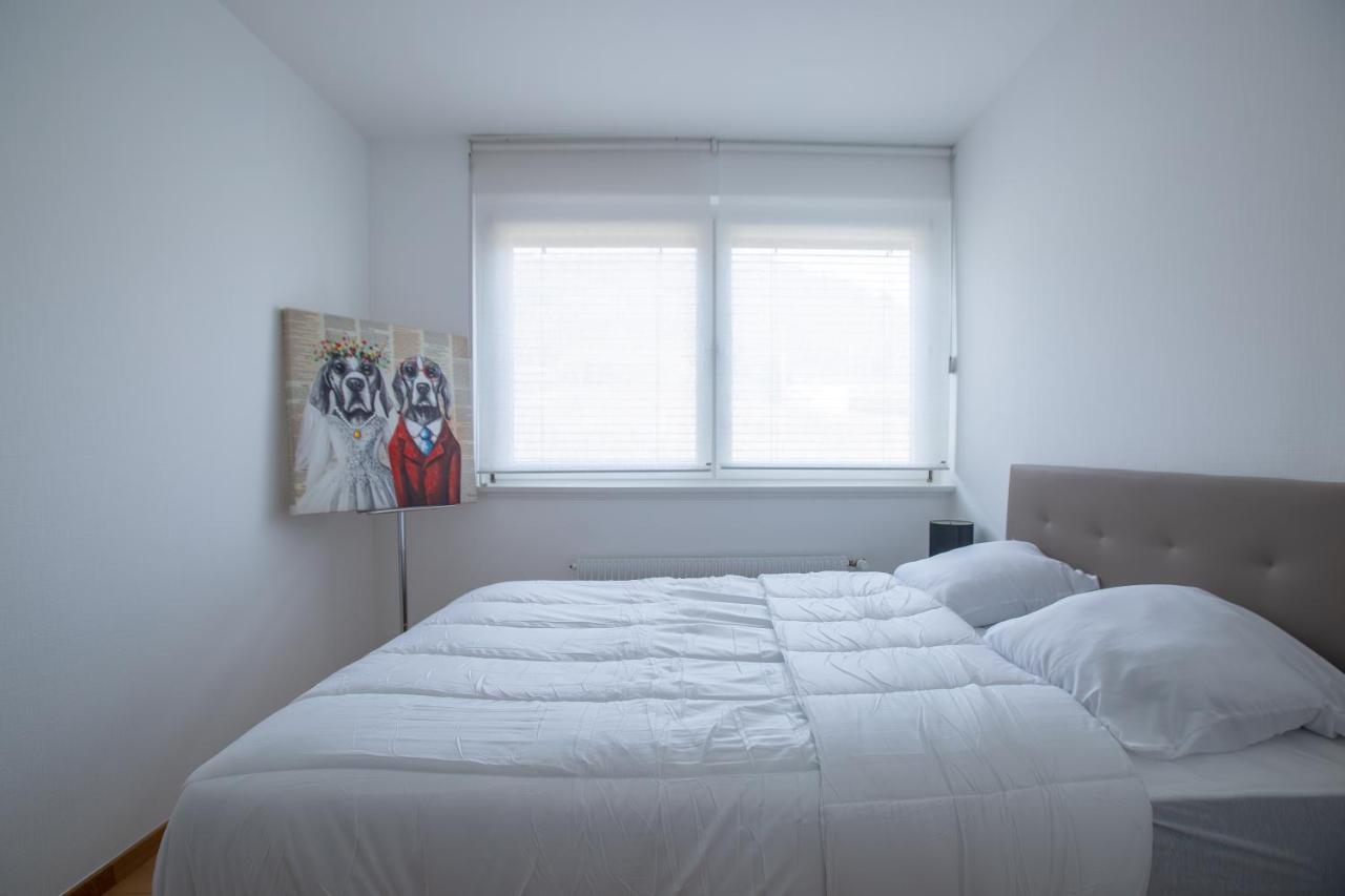 Gite Les Deux Belettes Riquewihr Exteriér fotografie