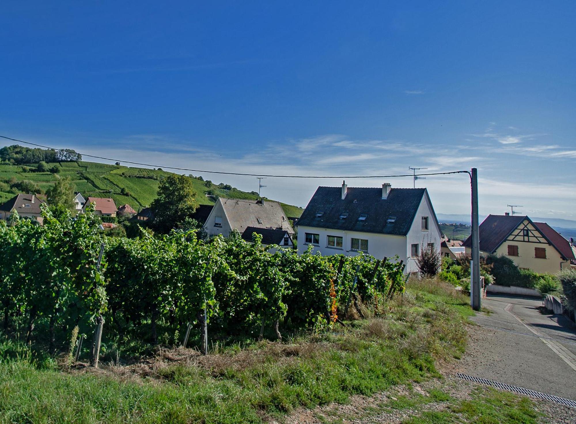 Gite Les Deux Belettes Riquewihr Exteriér fotografie